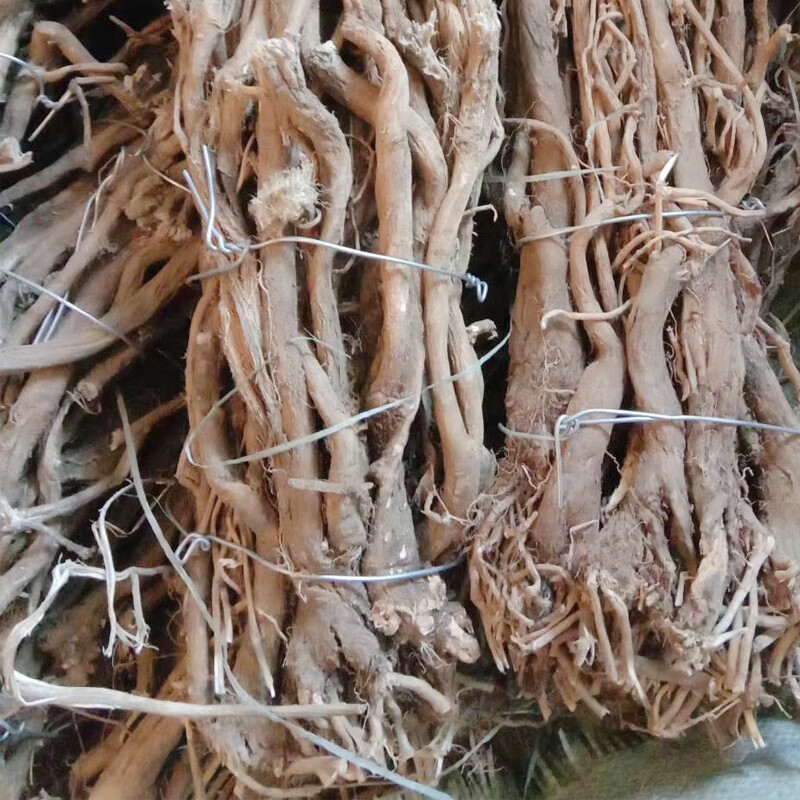 伟博 内蒙古黄芪黄芪根特级整根无硫熏正北芪500g【图片 价格 品牌