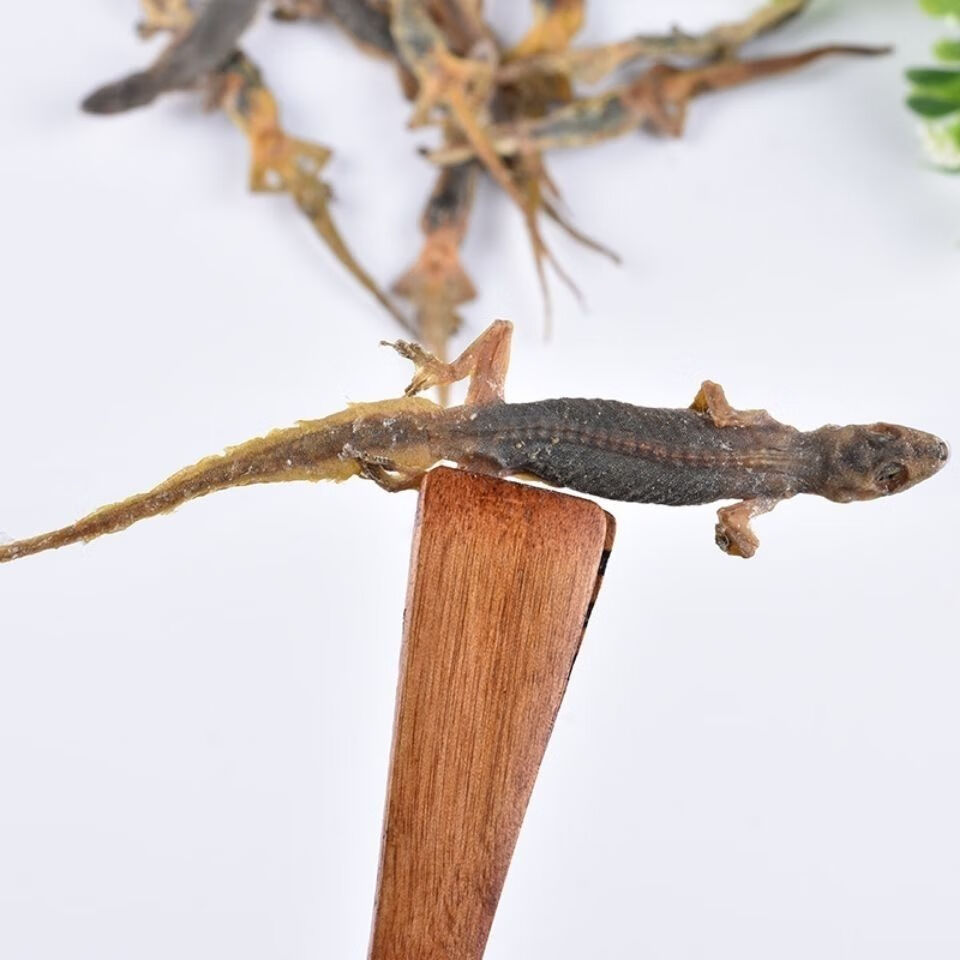 壁虎壁虎天龙国产壁虎干完整足够干可打粉50克壁虎50克