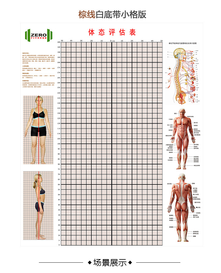 体态评估表墙贴健身房体测网格纸瑜伽馆私教姿势体位背景墙体姿图 女