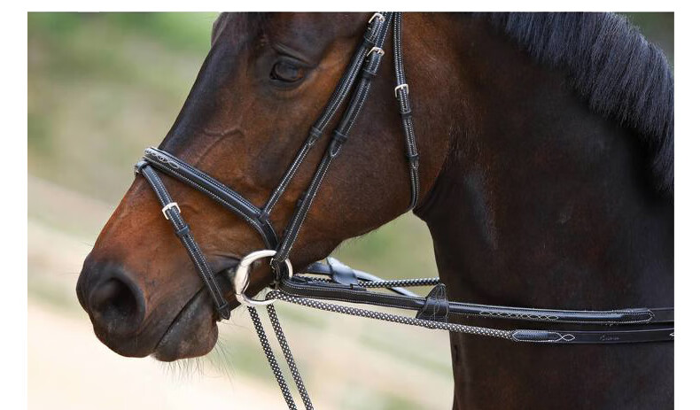 迪卡侬马缰绳牵马缰绳马术副缰绳牵引绳马术用品马具ivg3fs适合标准马