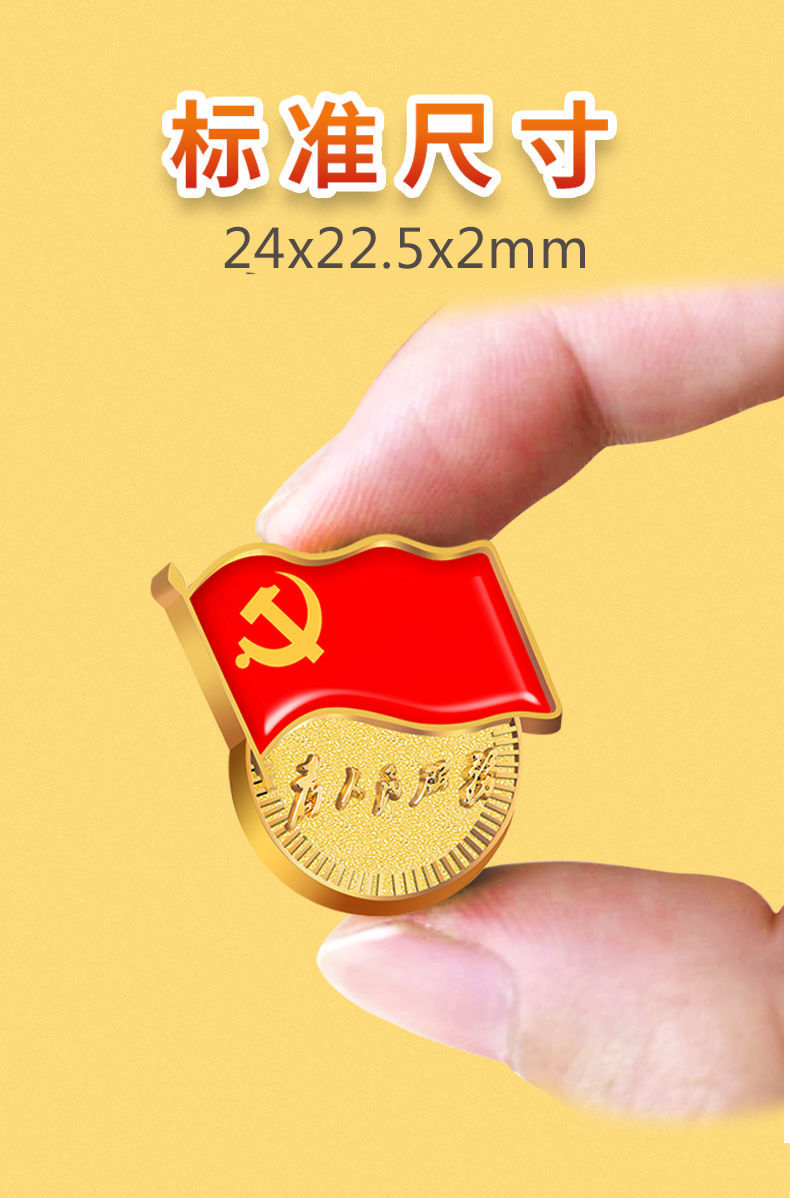 仓梵 礼盒装党徽标准型2020年镀金强磁党徽胸徽别针式徽章胸针 量多