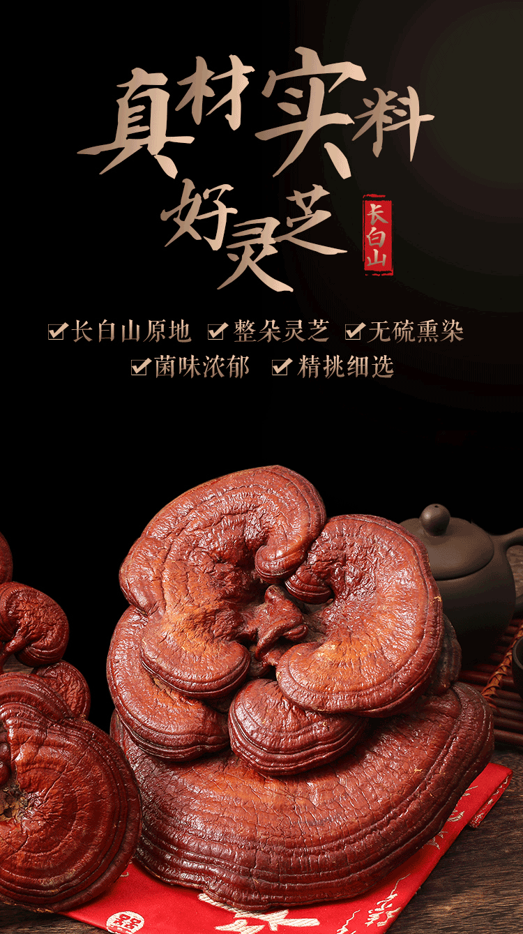 秦霄堂 紫灵芝赤灵芝500克 东北长白山半整枝灵芝可切片泡水煲汤料