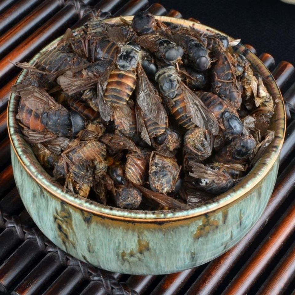 虻虫中药材10g 水虻虫黑水虻虫干 苍蝇牛虻 牛虻虫 虻虫粉 牛蚊子 10g