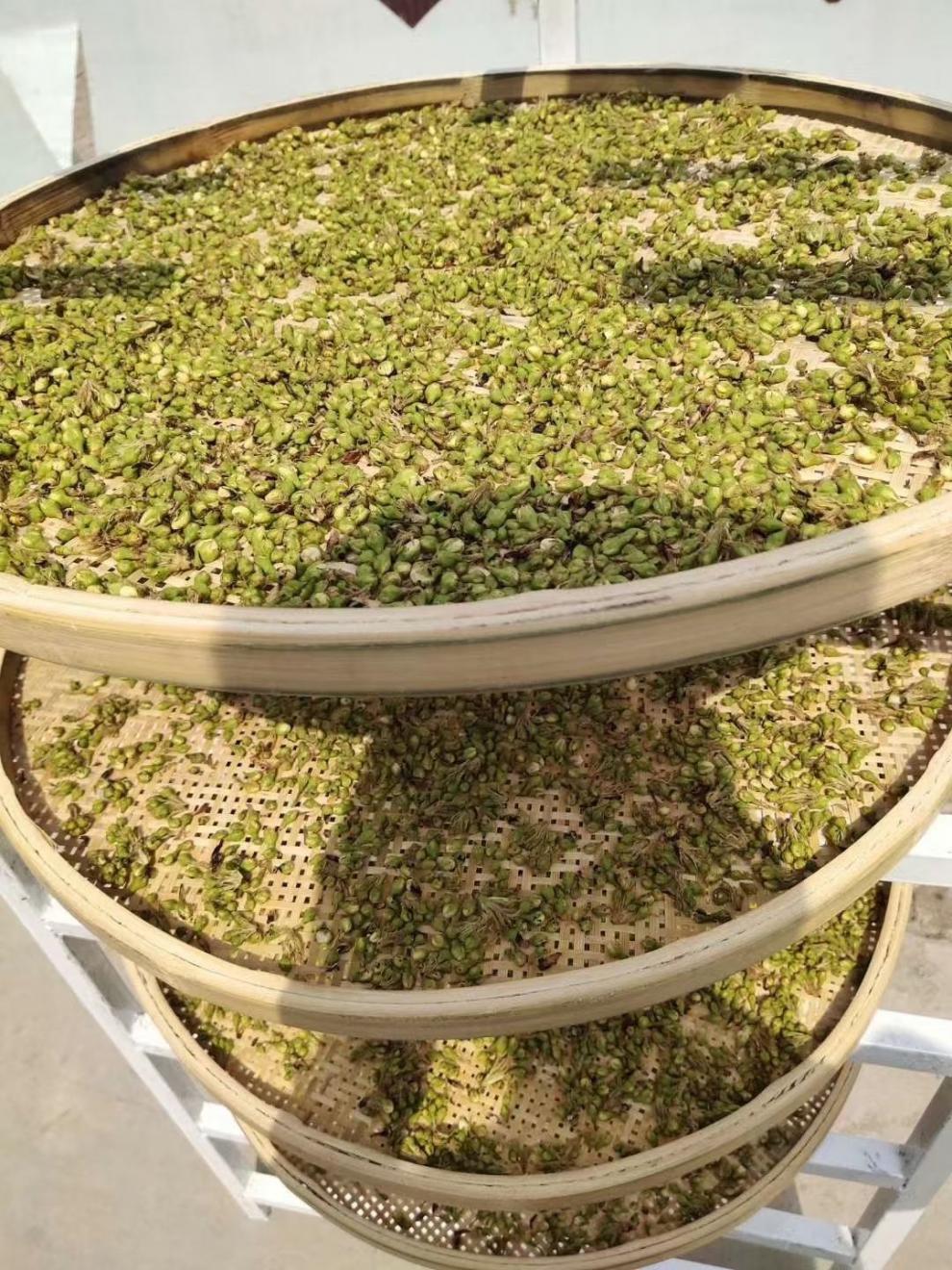 伟博中材 干梨花 泡水喝的梨花茶 50克 50g【图片 价格 品牌 报价】