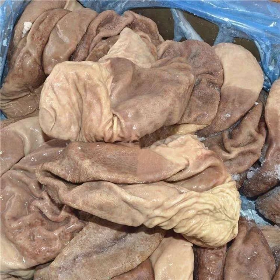 新鲜冷冻半烫熟猪肚猪肚熟猪大肚去油免洗猪胃商用批发10斤装江苏浙江