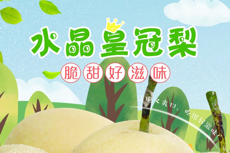 皇冠梨新鲜梨9斤整箱应季水果砀山梨雪梨香梨白梨甜梨10梨子 5斤 精选
