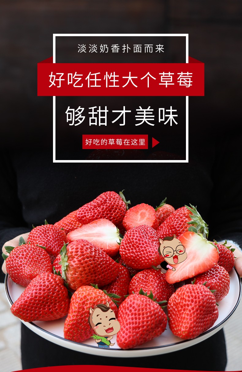 空运草莓丹东红颜草莓2斤分享装