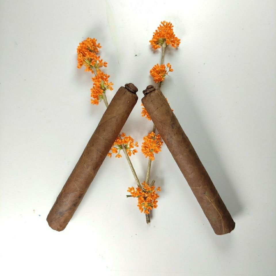 茶雪咖烟子器水果味烟打火机正电宗爆珠粗细长气雾烟棒恋茄茶雪茄茶