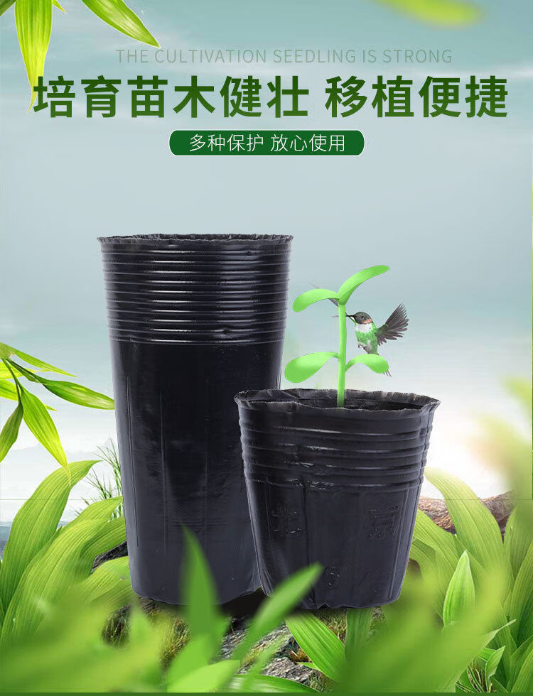 育苗杯营养杯塑料加厚一次性花盆育苗盆黑色育苗钵装土神器营养钵1210