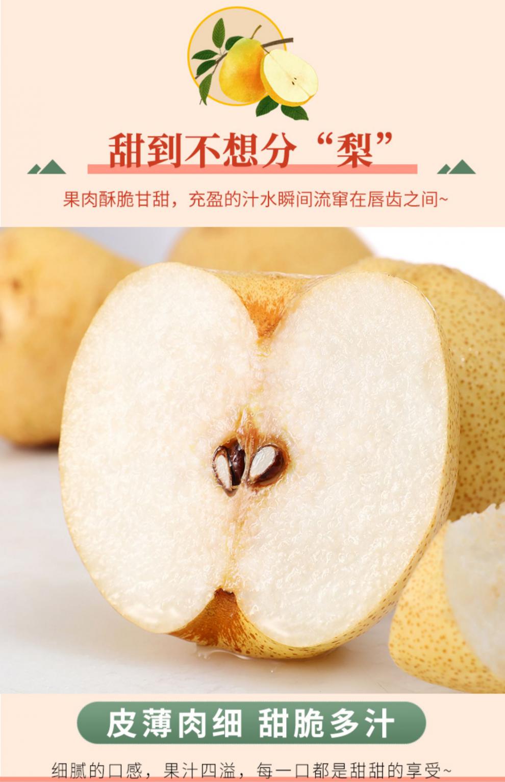 天山雪梨老人梨子原汁新鲜多汁安徽正宗砀山梨酥梨 10斤