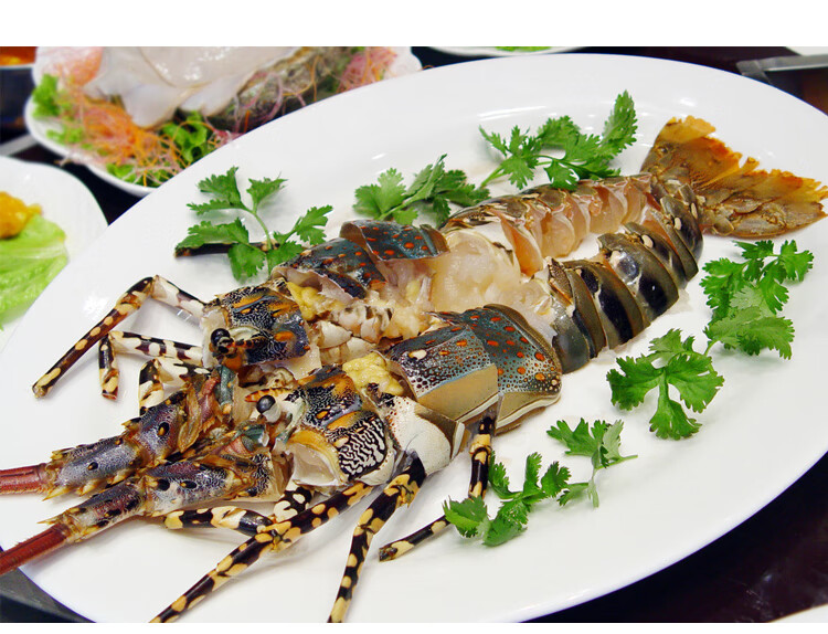 港遇海鲜澳洲龙虾鲜活大花龙虾青龙虾澳大利亚深海大龙虾鲜活发货花