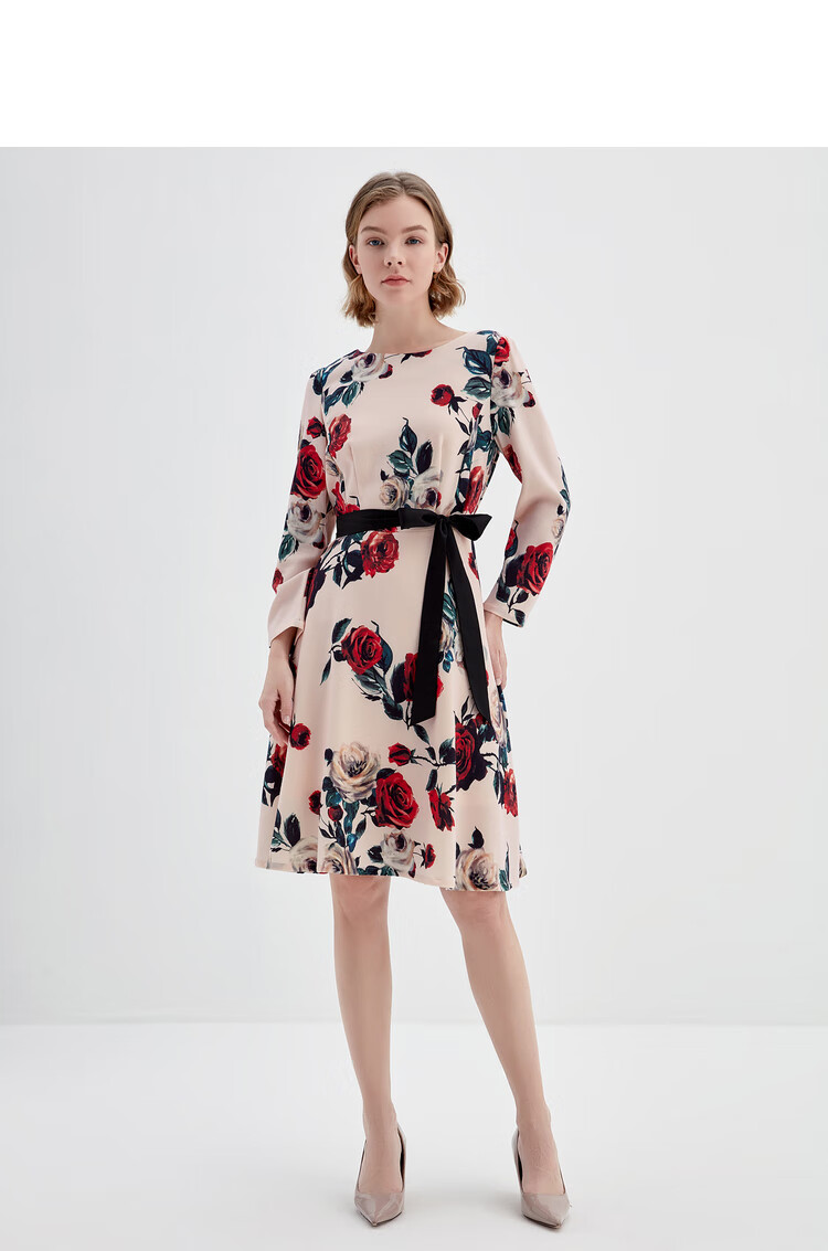 女装 连衣裙 欧柏兰奴(omnialuo) 欧柏兰奴2021年秋季新款九分袖印花