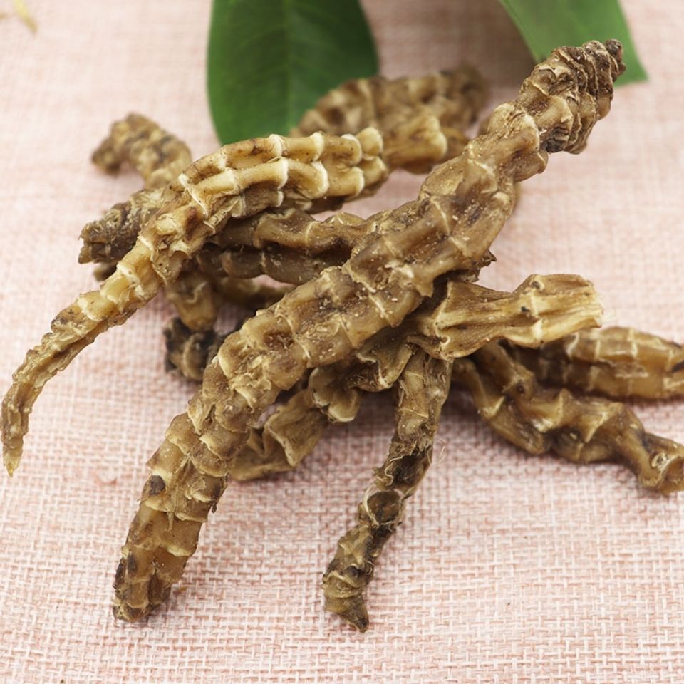 回春草顶天柱中药 不老草硬的快云南回春草顶天柱 泡茶泡酒料配起阳草