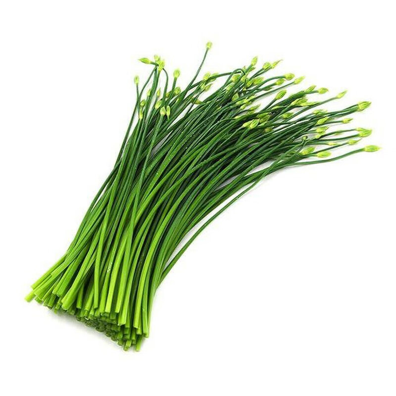 山东新鲜韭苔鲜嫩韭菜苔韭菜2/3/5斤蔬菜韭苔菜农家现摘现发 3斤【图