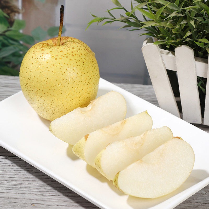 产地直采砀山梨雪花梨酥梨3斤5斤9斤200克以上砀山酥梨9510斤装