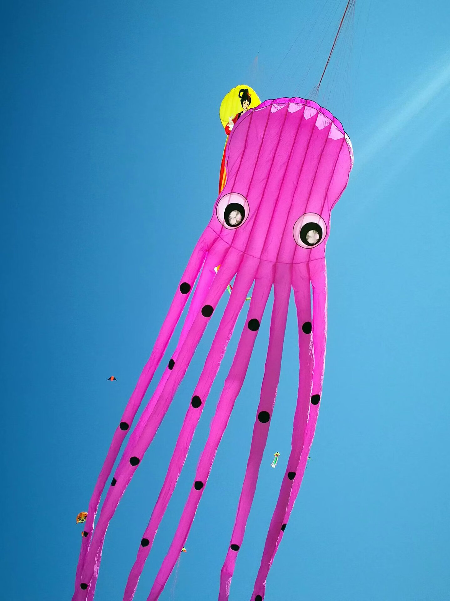 15m大型软体风筝紫水晶黑保罗章鱼风筝软体风筝大型风筝15米15米黑