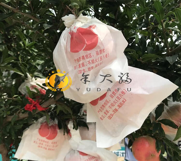 桔子丑橘粑粑柑枇杷不知火春见芭乐专用套袋纸袋果袋包装袋vieruodis