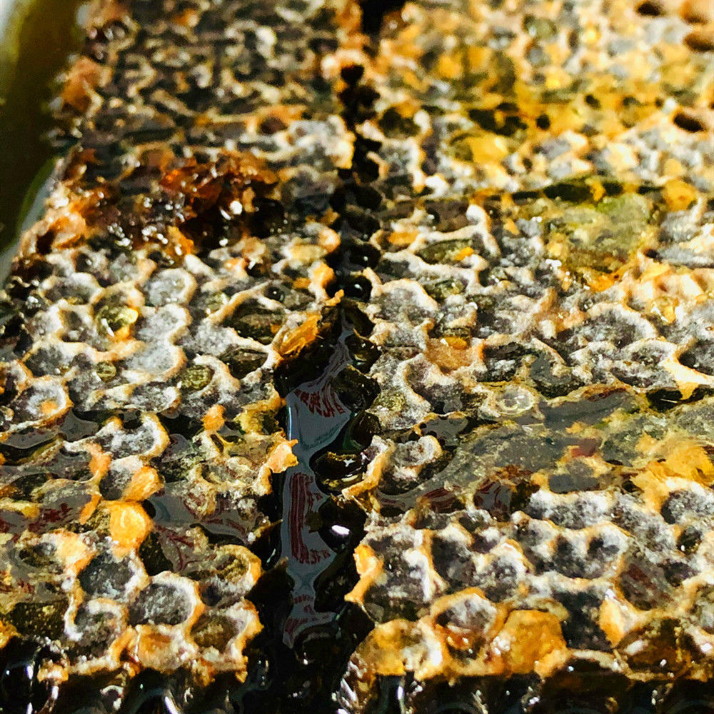 【老巢蜜】老蜂巢蜜成熟蜂蜜500克一斤黑巢蜜老蜂巢蜜 新蜜上市尝鲜