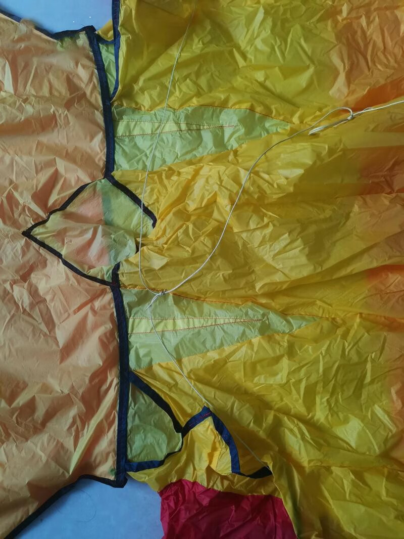 3d立体大型软体风筝金鱼伞布风筝微风新款微风高档特大新手易飞40d布