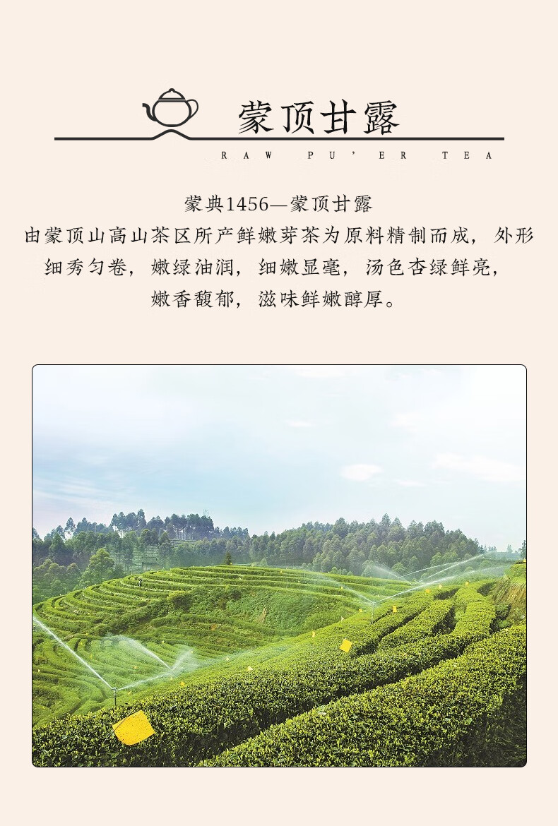 蒙典蒙頂山上茶蒙典1456齊物蒙頂甘露120g綠茶齊物甘露