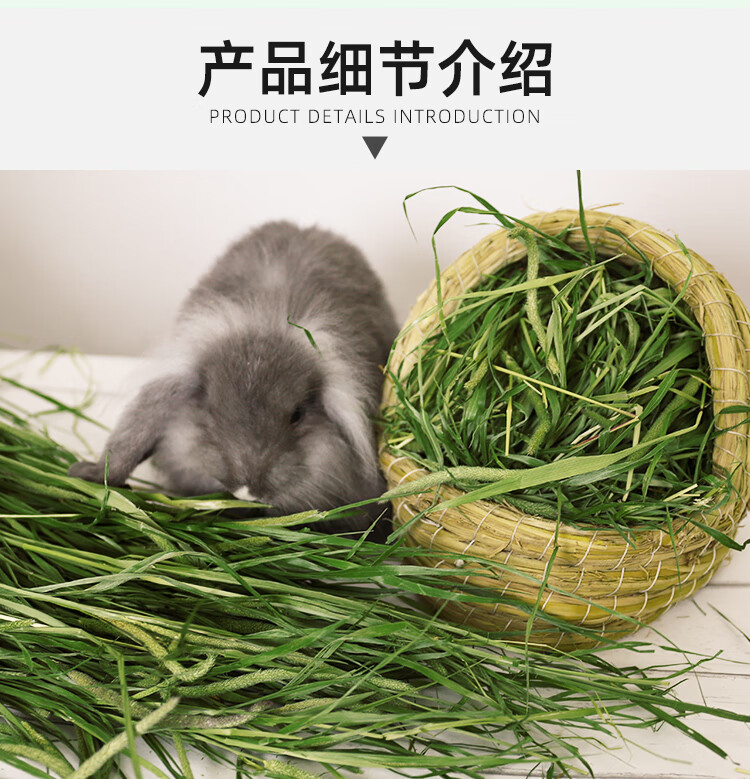 21年新提摩西草干草兔子兔粮龙猫粮食用品豚鼠荷兰猪饲料牧草500g