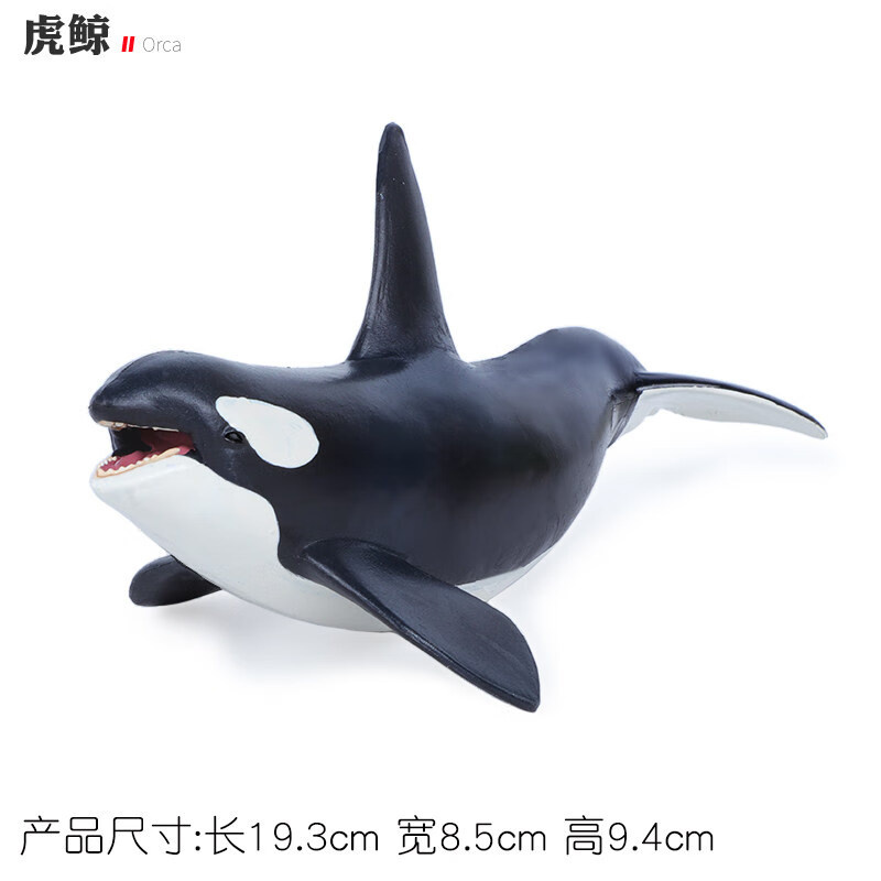 仿真虎鲸玩具海洋动物模型杀人鲸海底生物鲸鱼男科教认知礼物四款套装
