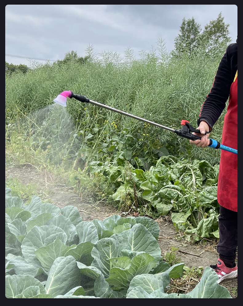 小型充电式浇菜地神器便携自吸灌溉机户外农用抽水泵家用田园浇水 16