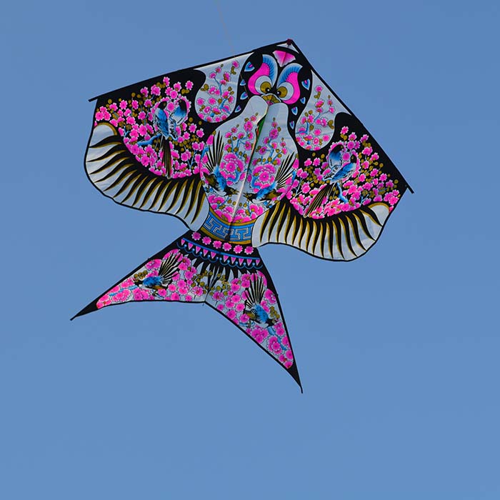 蚁族yizu潍坊风筝批发沙燕烫金燕子风筝装饰促销活动13米18米d款三角