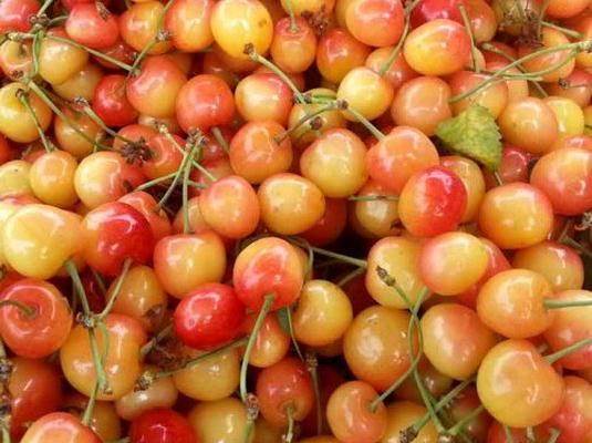 衢州江郎国产黄水晶小樱桃车厘子新鲜水果整箱 现摘 酸甜多汁 2斤