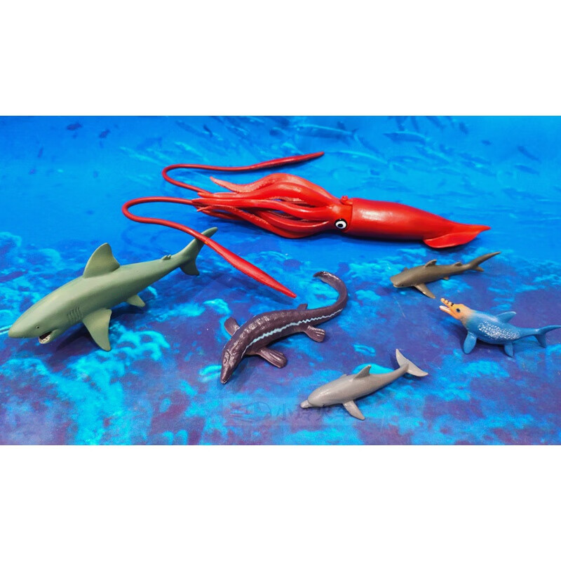 章鱼鱿鱼八爪鱼模型巨型枪酸浆海洋玩具蓝鲸 24厘米乌贼 抹香鲸【图片