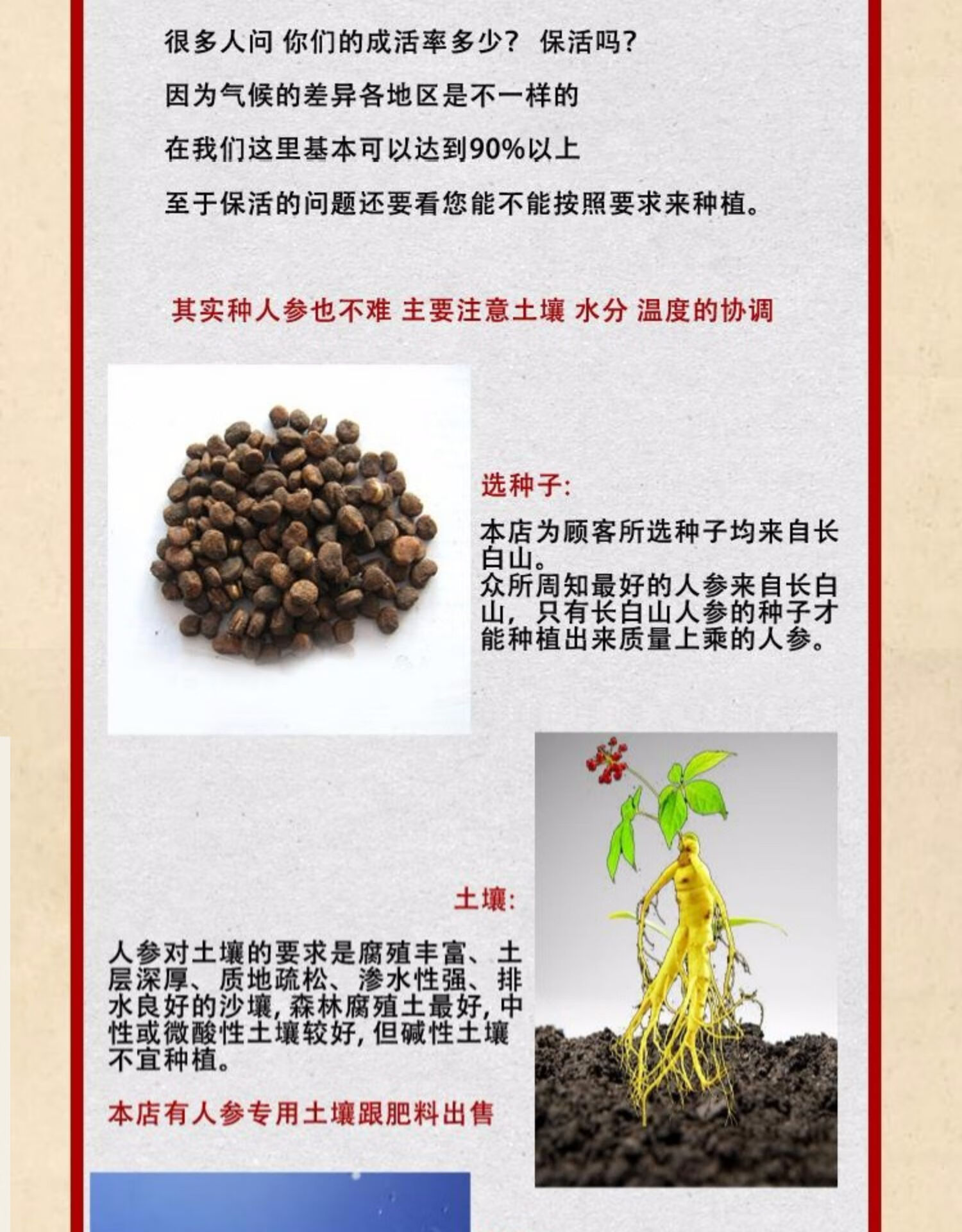 勿忘我种子催芽全过程图片