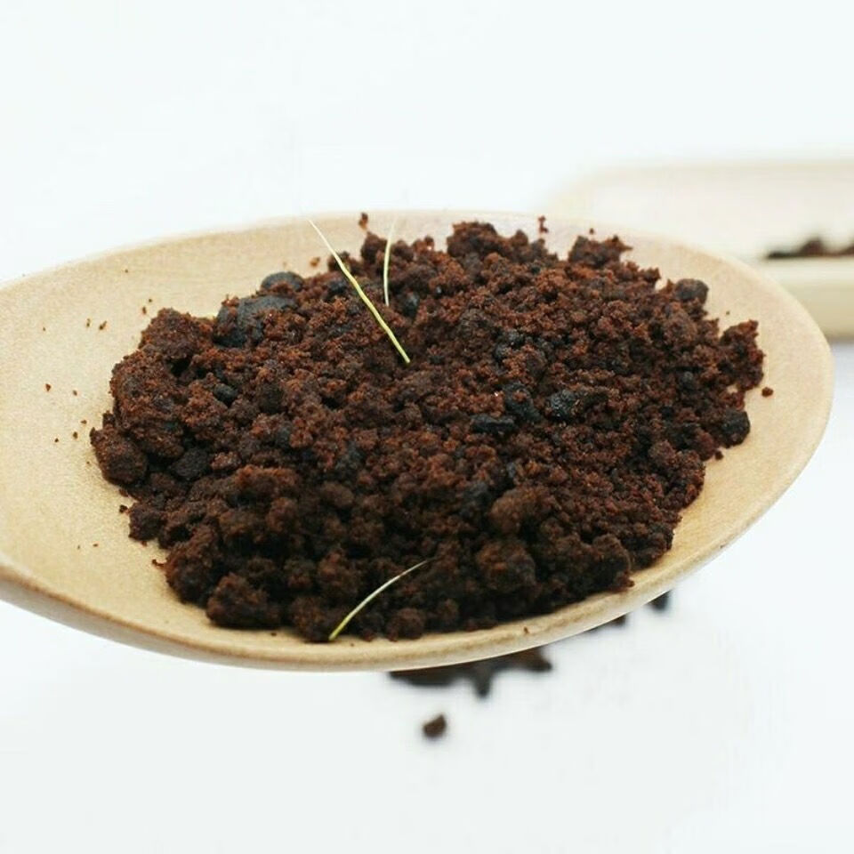 淳滋堂麝香中药材1克正宗人工林麝香仁麝香粉麝香酒中草药用麝香粒