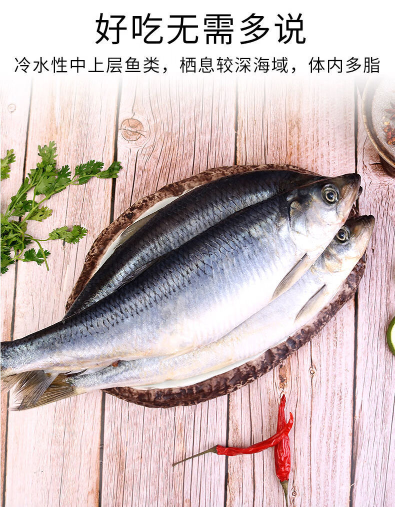 海青鱼新鲜整条鱼海鲜水产品深海青鱼淡水鱼沙丁鱼300400g条带籽6斤赠