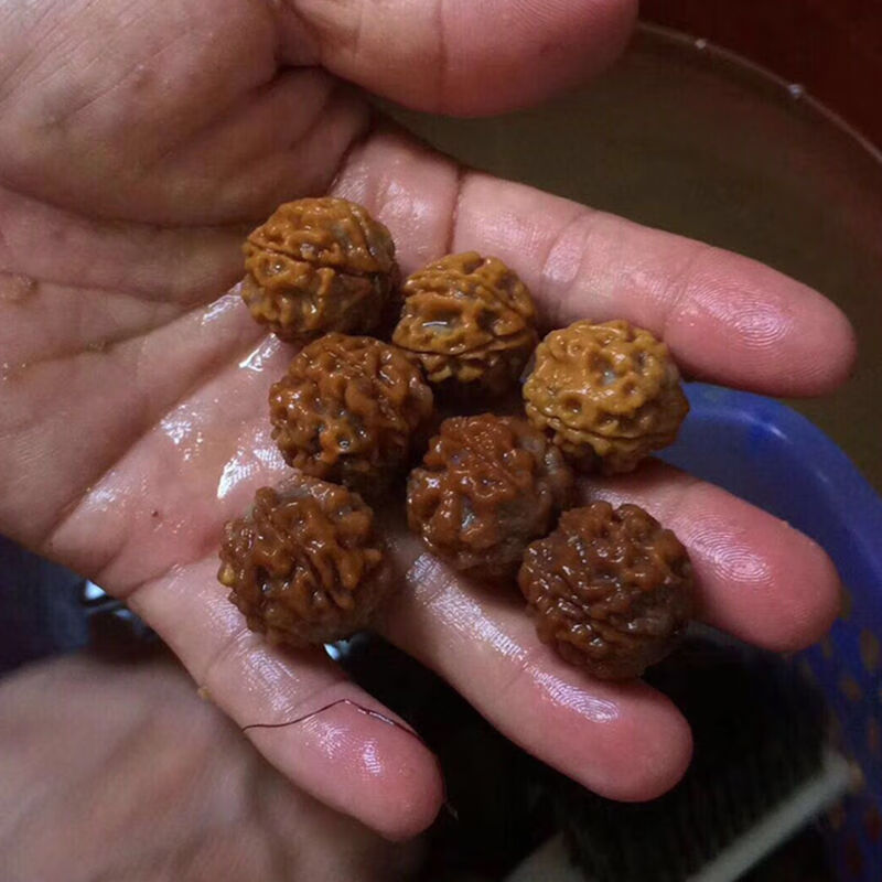 带皮金刚菩提子手串男士 青皮金刚菩提原籽药王蜂王双龙纹散籽 30mm带