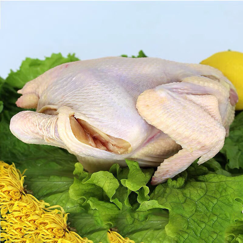 鸡正宗土鸡童子鸡新鲜跑山鸡精修煲汤土鸡多肉三黄鸡炸鸡整鸡精修整鸡