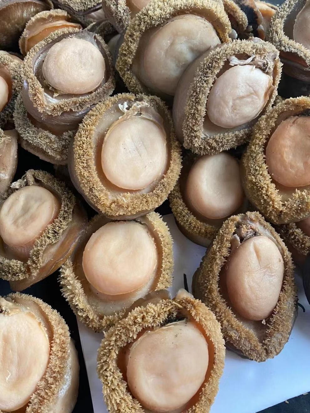 南非干鲍鱼大鲍鱼3头4头网鲍500g酒店干货鲍鱼老货