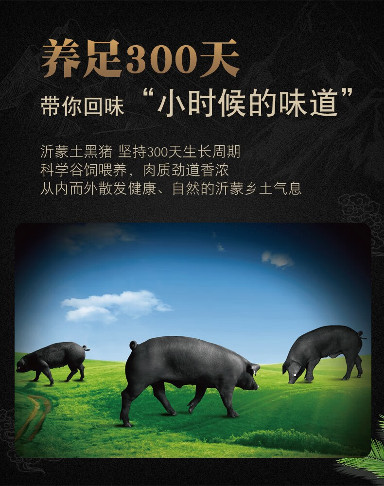 金锣 土黑猪带皮五花肉400g 带皮五花肉猪肋条肉国产猪肉猪肉脯原料