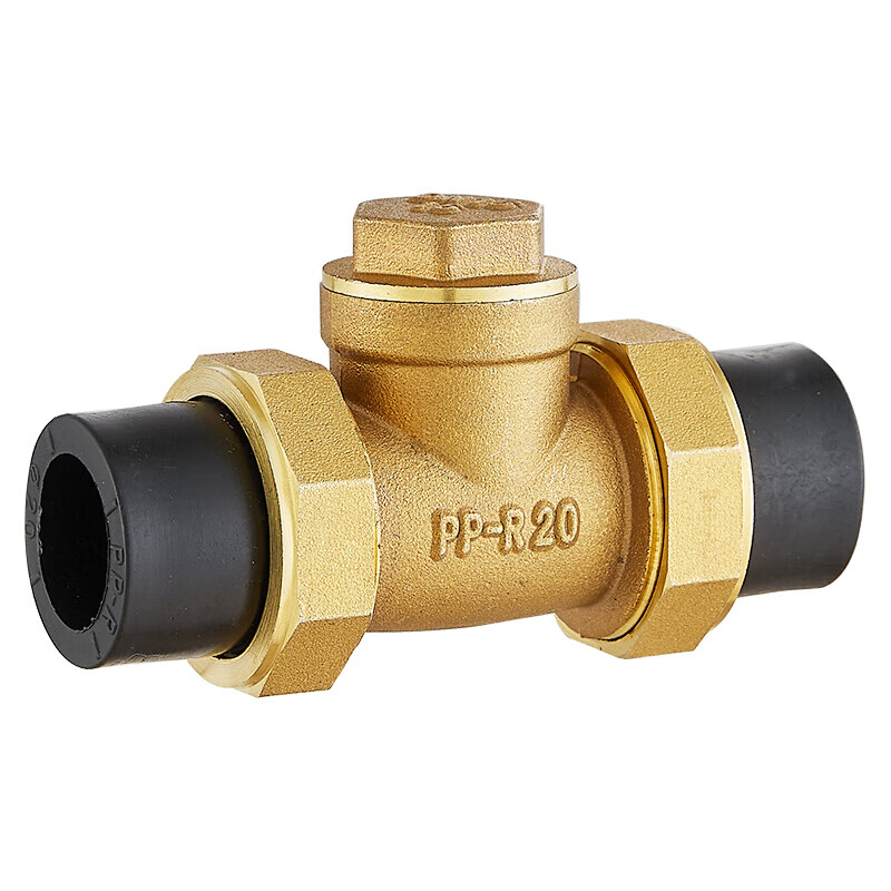 止回阀黄铜卧立式逆止2025ppr双活接自来水管表单向阀pe20立式止回阀