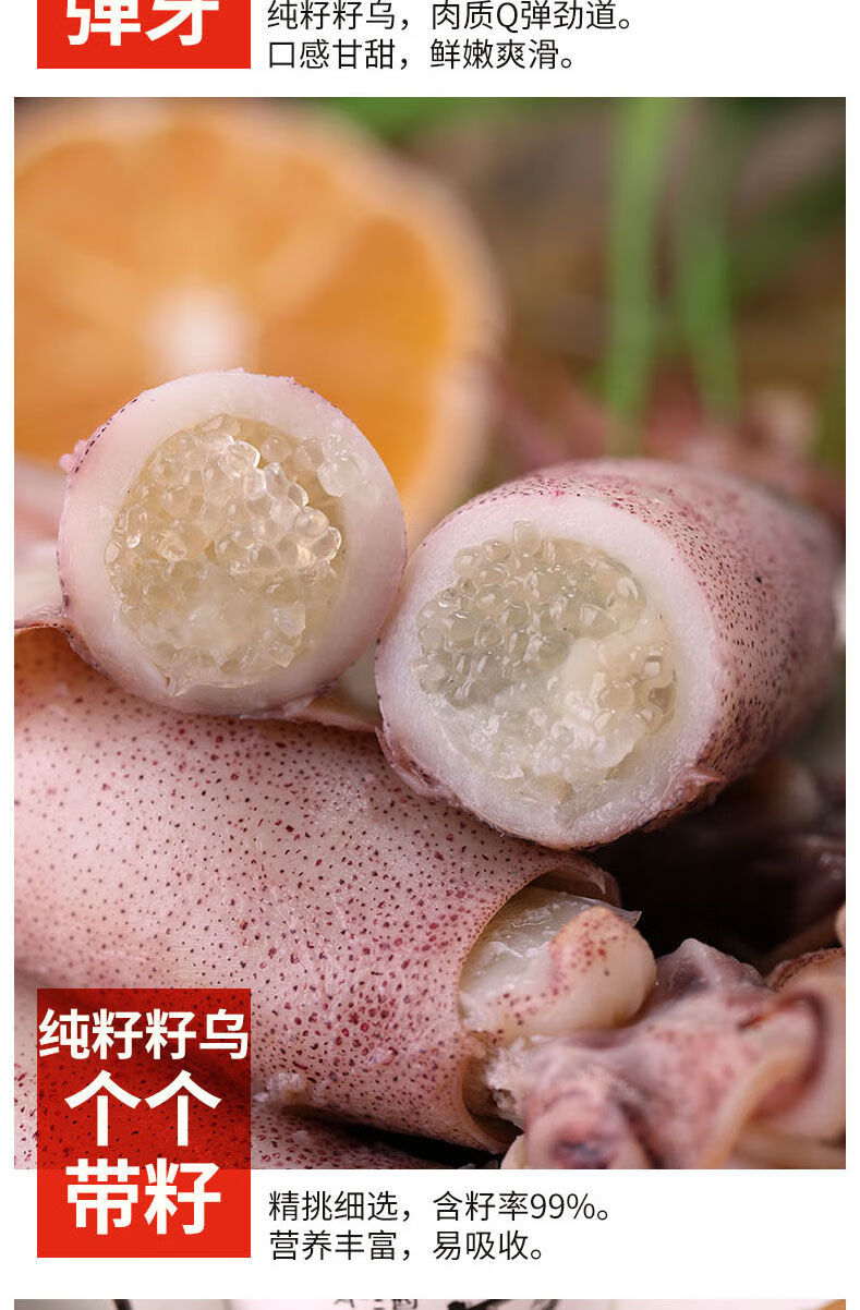 新鲜满籽籽乌干笔管鱼带籽海兔子乌贼墨斗鱼鲜活熟冻全籽批发10只袋约