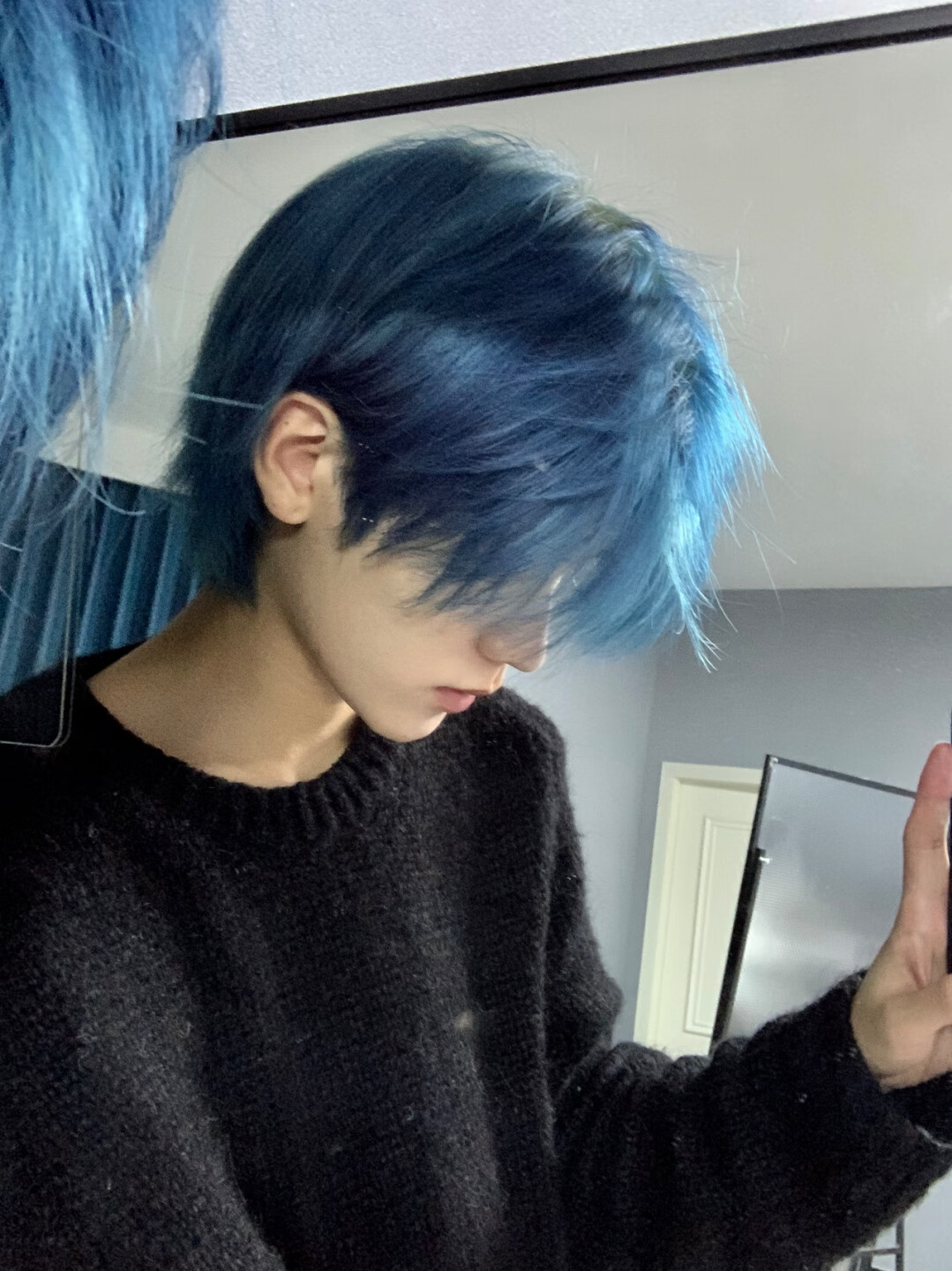 网红同款不洗头神器颜色狼尾个性节目表演假发雾霾蓝鲻鱼头全头套奶奶