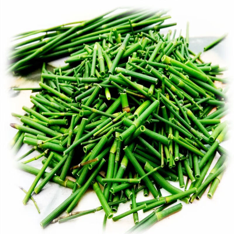 有仁堂木贼草节节草笔筒草接骨草无心草笔管草笔杆草纯干鲜云南药材 