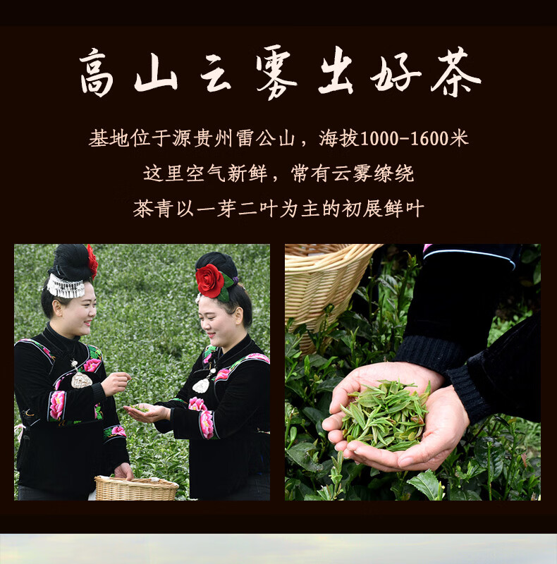 雷山馆茶叶贵州特产雷公山银球茶明前茶春茶绿茶高山云雾球行茶回味