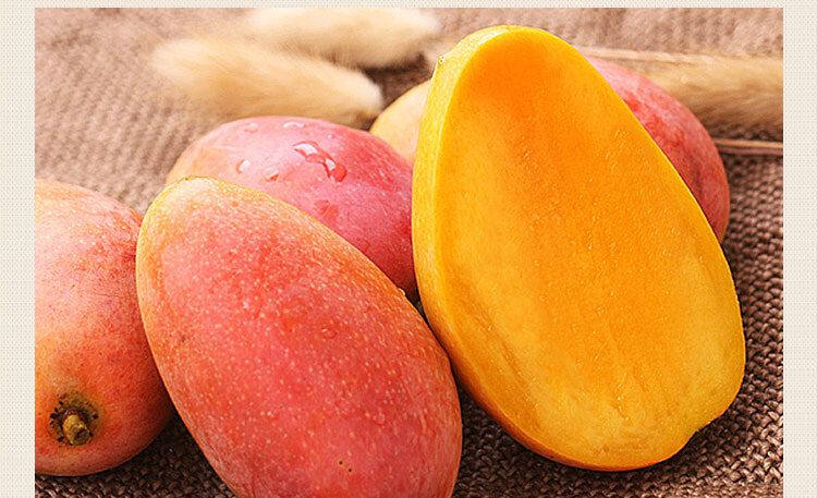 贵妃芒果当季热带水果红金龙小台新鲜现摘水果 超大果【净重5斤礼盒装