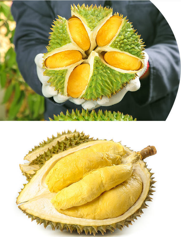 2021当季现摘金枕头榴莲新鲜水果当季巴掌榴莲1-10斤 金枕1-2个装6-7