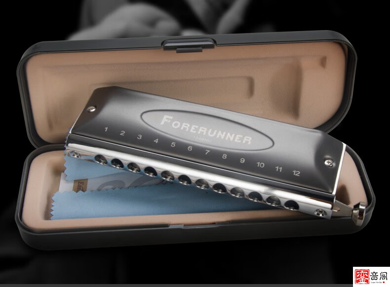 easttop东方鼎先行者12孔无膜半音阶口琴初学者高级专业演奏 梦想者