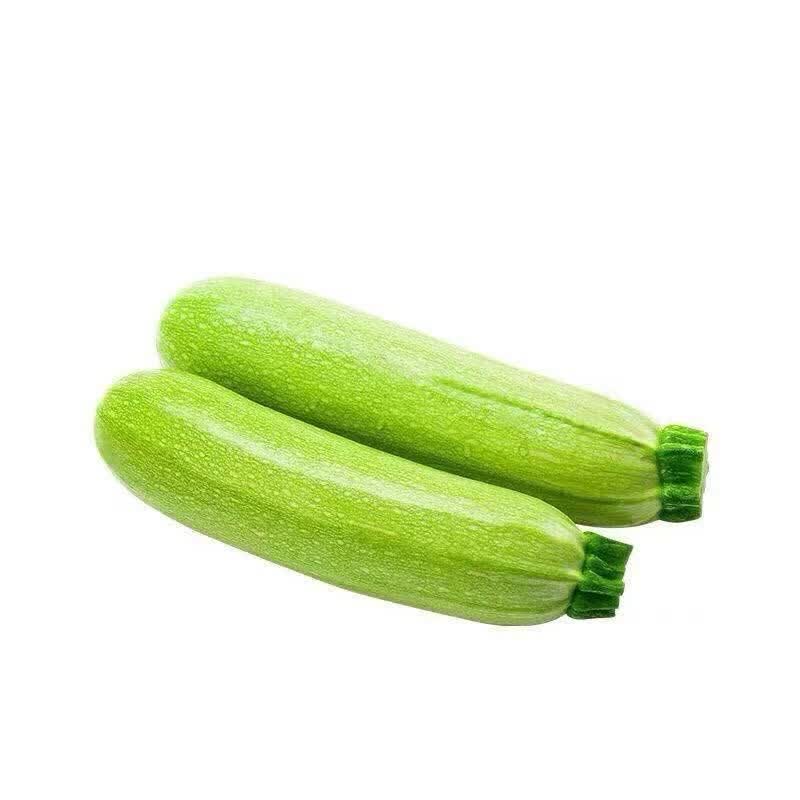 山东西葫芦新鲜蔬菜脆瓜新鲜现摘蔬菜5斤西葫芦
