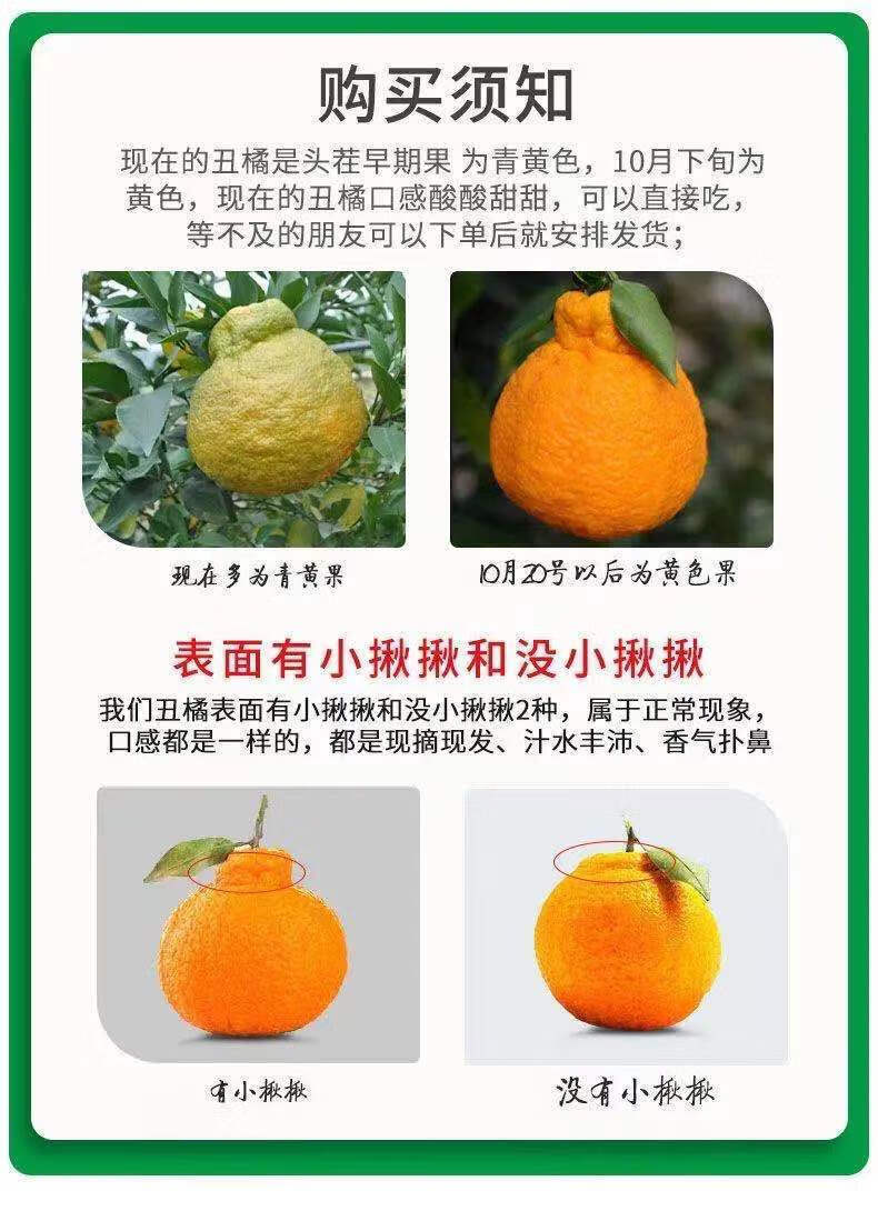 四川高山现摘丑橘粑粑柑水果新鲜510斤柑桔子5斤值装购买