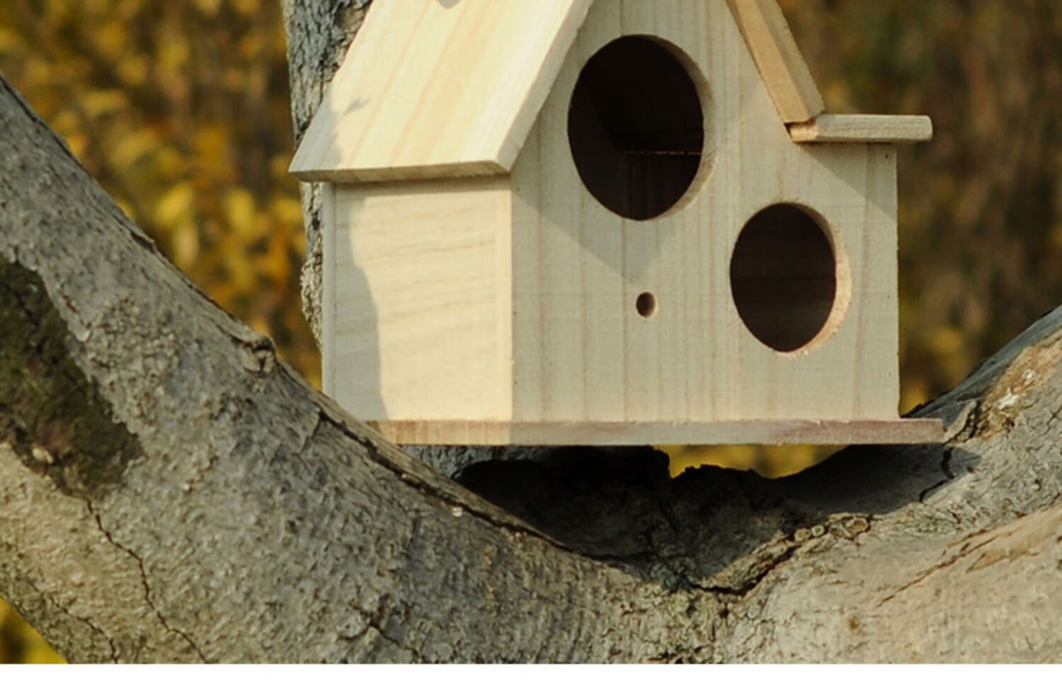 鸟窝鹦鹉窝户外实木挂窝鸟房子虎皮鸟巢保暖繁殖箱过冬孵化小鸟窝双孔