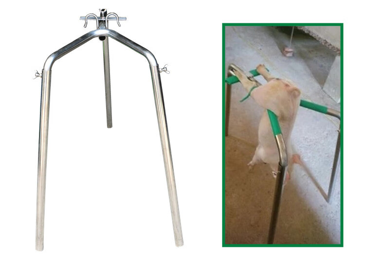 清风苑阉割架小猪阉割器不锈钢仔猪用阉猪器阉割刀工具养猪设备阉猪架