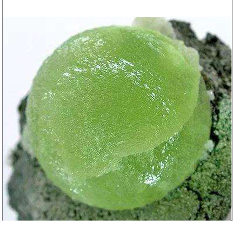 あgeyふ水晶天然礼物7a老矿巨透超绿葡萄石手链手串女幸运轻奢网红